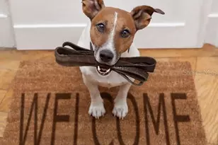 31540 Wild Grape Ln, Brooksville, FL 34602 - Photo 22