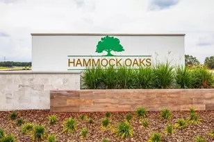 808 Sunshower Dr, Lady Lake, FL 32159 - Photo 14