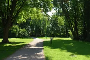 808 Sunshower Dr, Lady Lake, FL 32159 - Photo 16