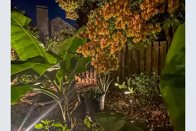 817 Garden Glen, Lake Mary, FL 32746 - Photo 34