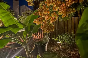 817 Garden Glen, Lake Mary, FL 32746 - Photo 34