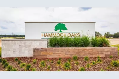 816 Sunshower Drive, Lady Lake, FL 32159 - Photo 16