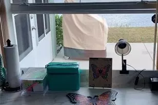 906 Bluewater Dr, Sun City Center, FL 33573 - Photo 14