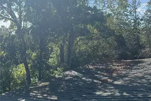 43430 Cooter Pond Rd, Deland, FL 32720 - Photo 14