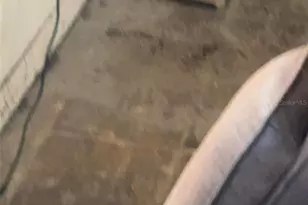 43430 Cooter Pond Rd, Deland, FL 32720 - Photo 6