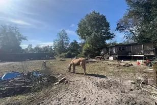 43430 Cooter Pond Rd, Deland, FL 32720 - Photo 20