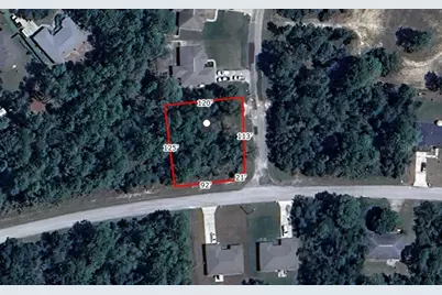 7482 N Gims Way, Citrus Springs, FL 34433 - Photo 4