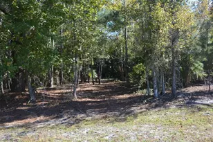 0 Hester Ave Ave, Sanford, FL 32773 - Photo 22