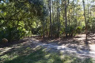 0 Hester Ave Ave, Sanford, FL 32773 - Photo 54