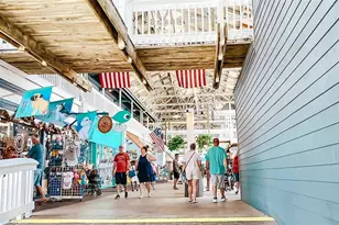 25196 Calusa Dr, Punta Gorda, FL 33955 - Photo 22