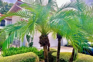 8214 Ambrose Cove Way, Orlando, FL 32819 - Photo 8