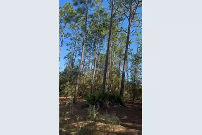 Sw 128th Terrace Road, Ocala, FL 34481 - Photo 1