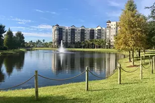 14501 Grove Resort, Winter Garden, FL 34787 - Photo 2