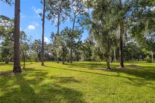 529 E Harding St, Orlando, FL 32806 - Photo 24