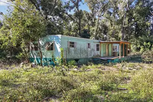 3140 NE 162 Pl, Citra, FL 32113 - Photo 6