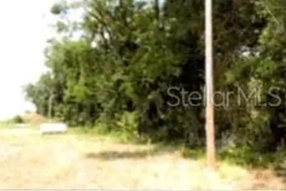 12325 & 12303 Stagg Road, Winter Garden, FL 34787 - Photo 6