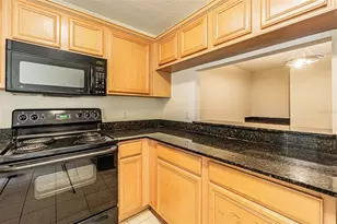 3412 Dragon View Ct, Valrico, FL 33594 - Photo 16