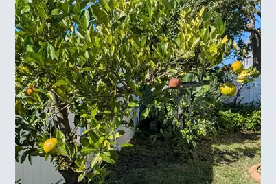 22 Ruth Drive, Palm Coast, FL 32164 - Photo 48