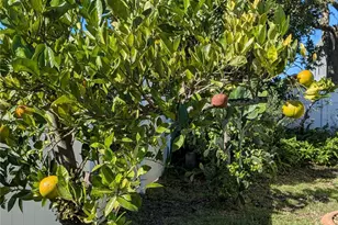 22 Ruth Dr, Palm Coast, FL 32164 - Photo 48