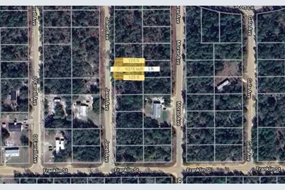 0 Janet Avenue, Interlachen, FL 32148 - Photo 1