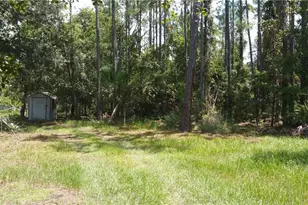 5125 Moore St, Saint Cloud, FL 34771 - Photo 8