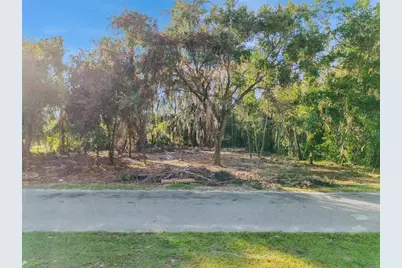 705 Newell Hill Road, Leesburg, FL 34748 - Photo 8