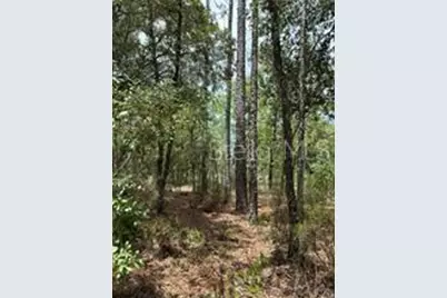 001 NE 110th Avenue, Williston, FL 32696 - Photo 1