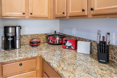 891 Assembly Court, Reunion, FL 34747 - Photo 96