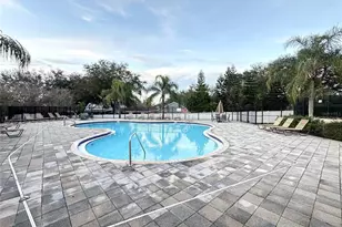 217 Penmark Stone Pl, Valrico, FL 33594 - Photo 4