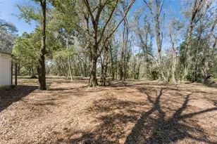 22126 Quale Grove Rd, Eustis, FL 32736 - Photo 64
