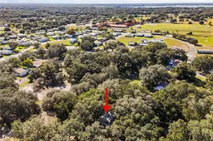 14233 Tassleflower Ct, Astatula, FL 34705 - Photo 30