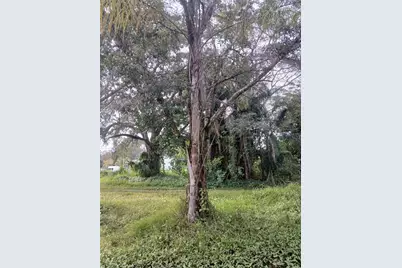 18565 N 16th Avenue E, Orlando, FL 32833 - Photo 4