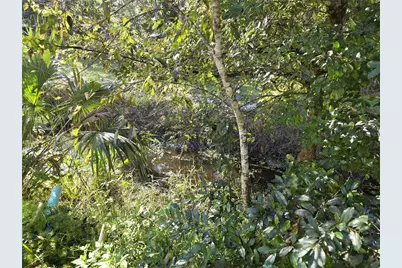 1601 Big Tree Rd #901, Daytona Beach, FL 32119 - Photo 58