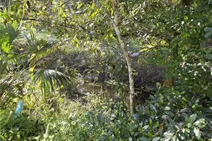 1601 Big Tree Rd, Daytona Beach, FL 32119 - Photo 58