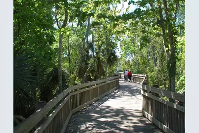 718 Honeysuckle Avenue, Celebration, FL 34747 - Photo 54