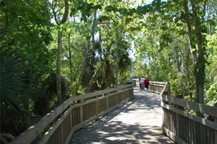 718 Honeysuckle Ave, Celebration, FL 34747 - Photo 54