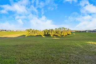 15296 Willow Ridge Dr, Montverde, FL 34756 - Photo 52
