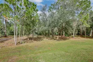 1255 Flint Trail, Geneva, FL 32732 - Photo 24