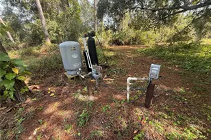 19509 Sheldon St, Orlando, FL 32833 - Photo 42