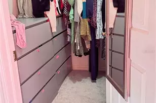 4415 Blue Major Dr, Windermere, FL 34786 - Photo 30