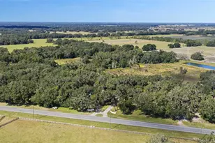 2878 S US 301, Sumterville, FL 33585 - Photo 58