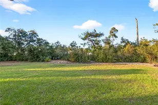 2525 SW 175 Loop, Ocala, FL 34473 - Photo 38