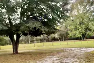 38550 Ilex Trail, Eustis, FL 32736 - Photo 6