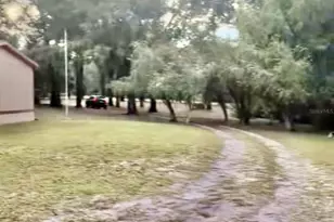 38550 Ilex Trail, Eustis, FL 32736 - Photo 8