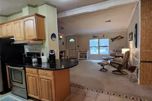 38550 Ilex Trail, Eustis, FL 32736 - Photo 12