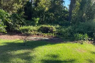 2824 Manatee Rd, Tavares, FL 32778 - Photo 10