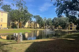 5602 Pinnacle Heights Cir, Tampa, FL 33624 - Photo 4