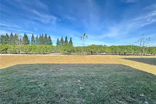 2167 Chris Dr, Winter Haven, FL 33884 - Photo 10