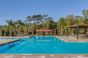 462 Baroness Way, Deland, FL 32724 - Photo 44