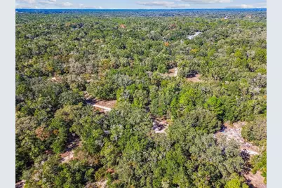 2903 Tyler Street, Inverness, FL 34453 - Photo 10